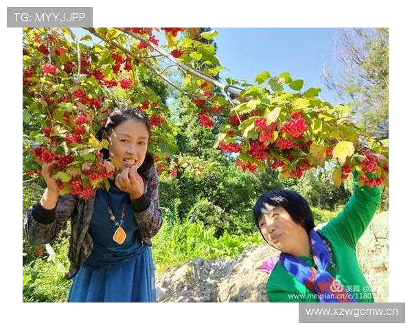 范迪克家里冰箱比我工资卡还安静这日子谁顶得住啊？